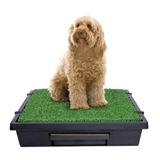PetSafe Pet Loo Portable Dog Potty Review - The Best Indoor Potty Solution for Medium Dogs